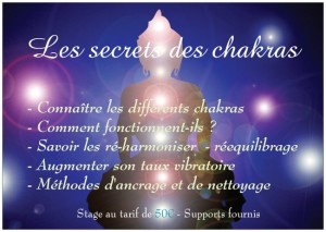 chakras visuel